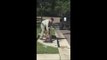 Trapper Pulls Alligator Out of Florida Sewer