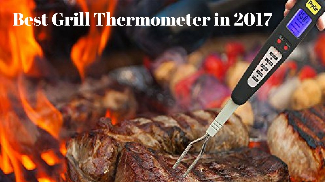 Top 5 Best Grill Thermometer in 2017 | Grill Thermometer Review