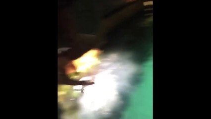Un homme tombe dans une piscine remplit de requin