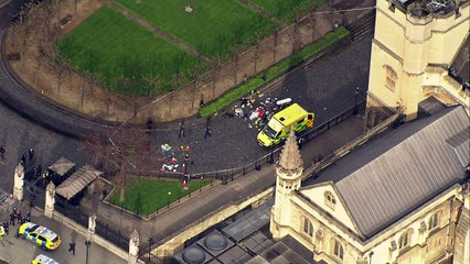Aerial footage shows ambulance within Parliament grounds