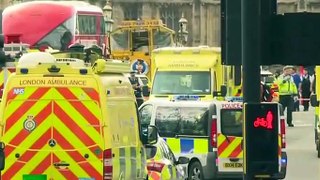 coup de feu entendus près du parlement britannique/tiroteo en el parlamento británico en francia