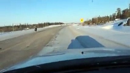 ΑΛΛΟΚΟΤΟ!ΜΕΓΑΛΟΣ ΛΥΚΟΣ ΑΚΟΛΟΥΘΕΙ ΑΥΤΟΚΙΝΗΤΟ ΣΤΟΝ ΚΑΝΑΔΑ!