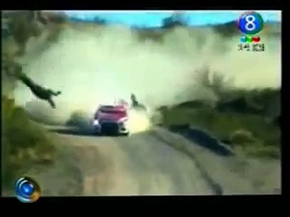 Fatal Crash.  Rally car hits Horse !!!