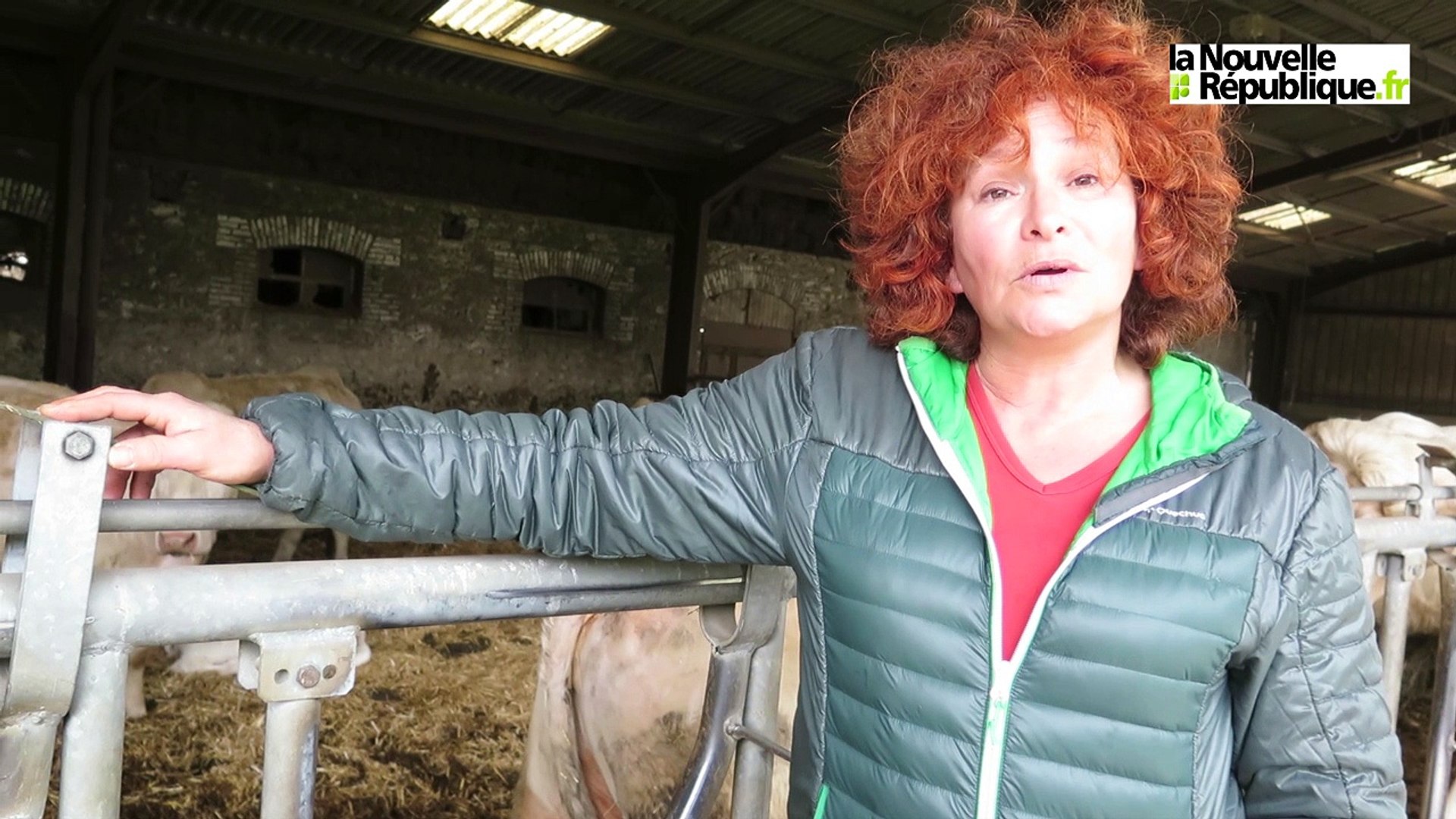 VIDEO. La présidentielle vue par Anne Billard, agricultrice bio dans  l'Indre - Vidéo Dailymotion