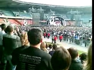 red hot chili peppers #3