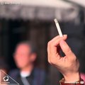 Cigg Seeds, filtro de cigarrillos con semillas que se convierten en flores