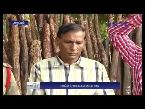 International red sanders smuggling: gang arrest - Oneindia Tamil