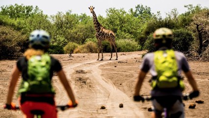 Botswana MTB Safari: Spotting African Wildlife by Bike