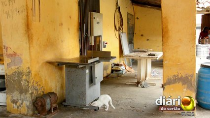 Animais no açougue de São João do Rio do Peixe