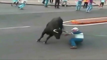 Download Video: funny crazy bull fails most awesome bullfighting festival video best funny video fun with all clip