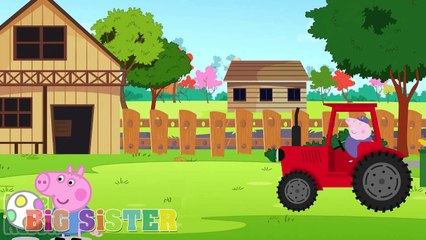 Old Macdonald Had A Farm- Kids Nursery Rhymes I Children Songs I Kindergarten Baby Rhyme I