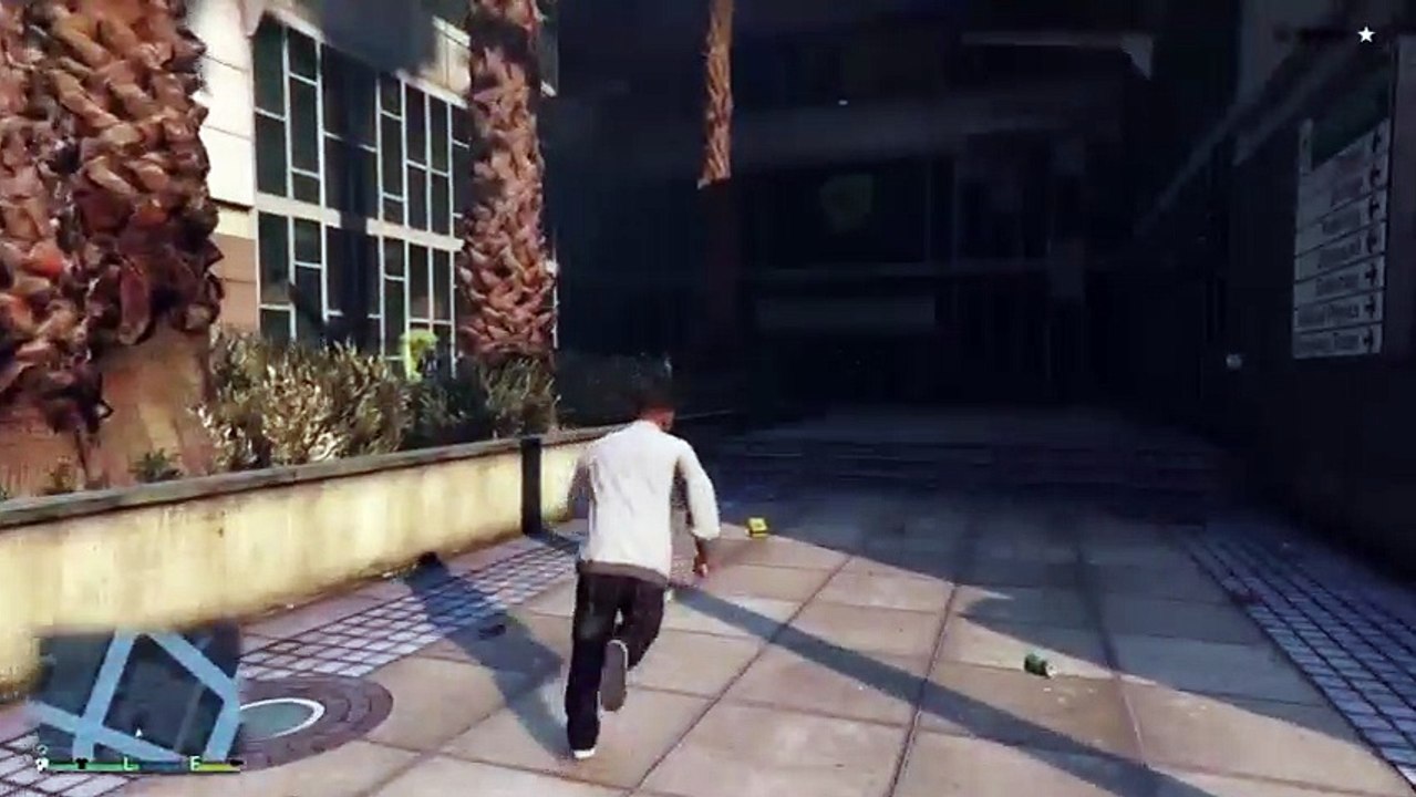 Gta5 (8)