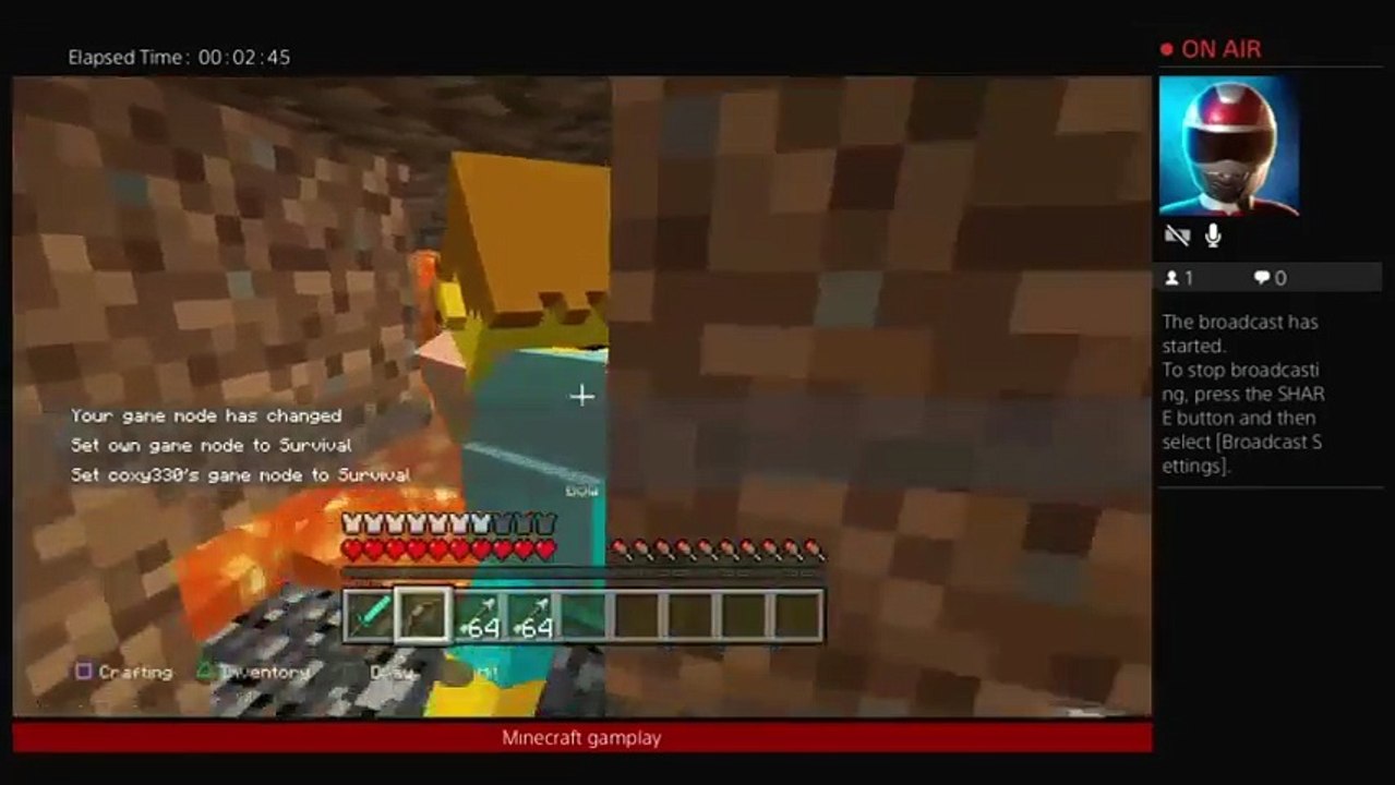 Minecraft (3)
