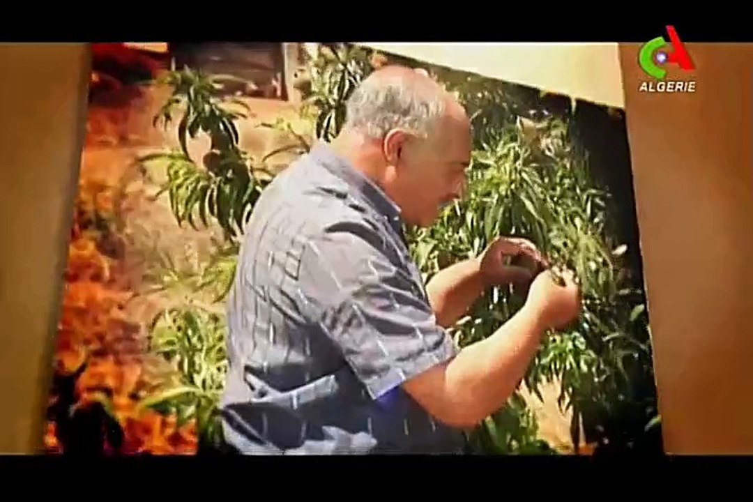 Boudaou [Saison 2] (2014).Générique Début