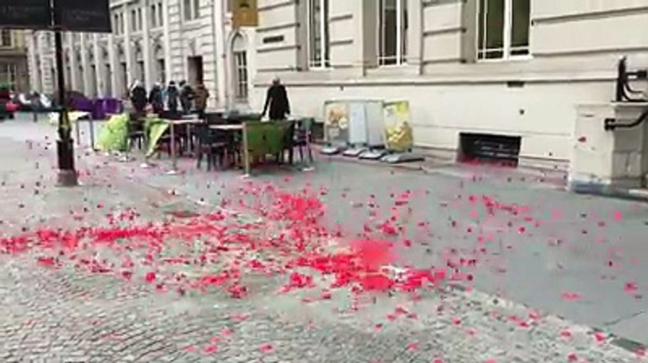 The art of red flower petals in the wind...