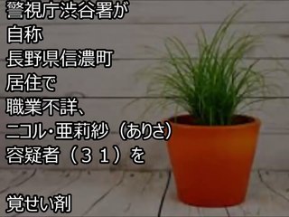 【ニコル】覚せい剤使用で逮捕！しかも妊娠中だった！？