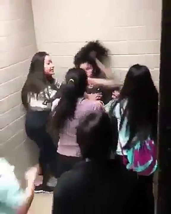 cat fight #girls #fighting Don't Mess With Them 