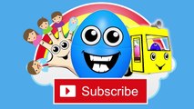 Wheels On The Bus Learn Colors Collection - Nursery Rhymes Compilation by Animated Surpris