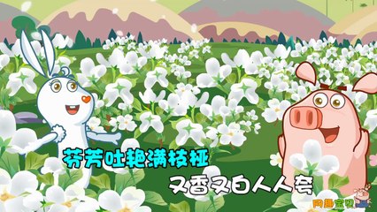 小蓓蕾组合 - 茉莉花 -Sweet Jasmine--Mo Li Hua