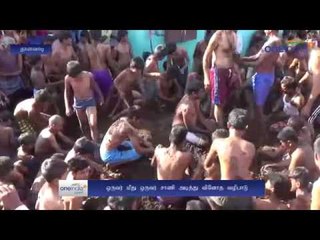 Erode: Cow dung festival  - Oneindia Tamil