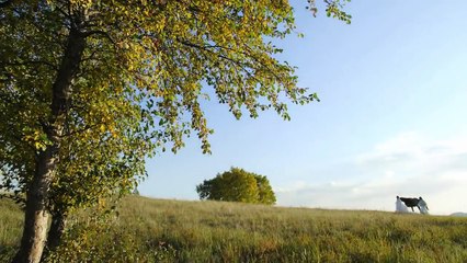 《兰陵王妃》曝MV 恭锁〖萤火〗相会难比翼双飞（张含韵|彭冠英|陈奕）