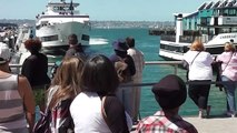 Whale Watching Boat Crashing Into San Diego Dock