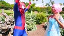 Pink SpiderGirl Frozen Elsa Go To Jail Vs Police Spiderman Hulk | Joker Prank SuperHero Fu