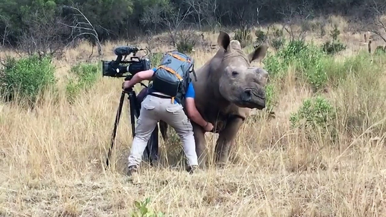 Rhino!