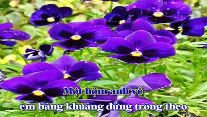 [Karaoke] CÁNH HOA YÊU - Hoàng Trọng & Vĩnh Phúc
