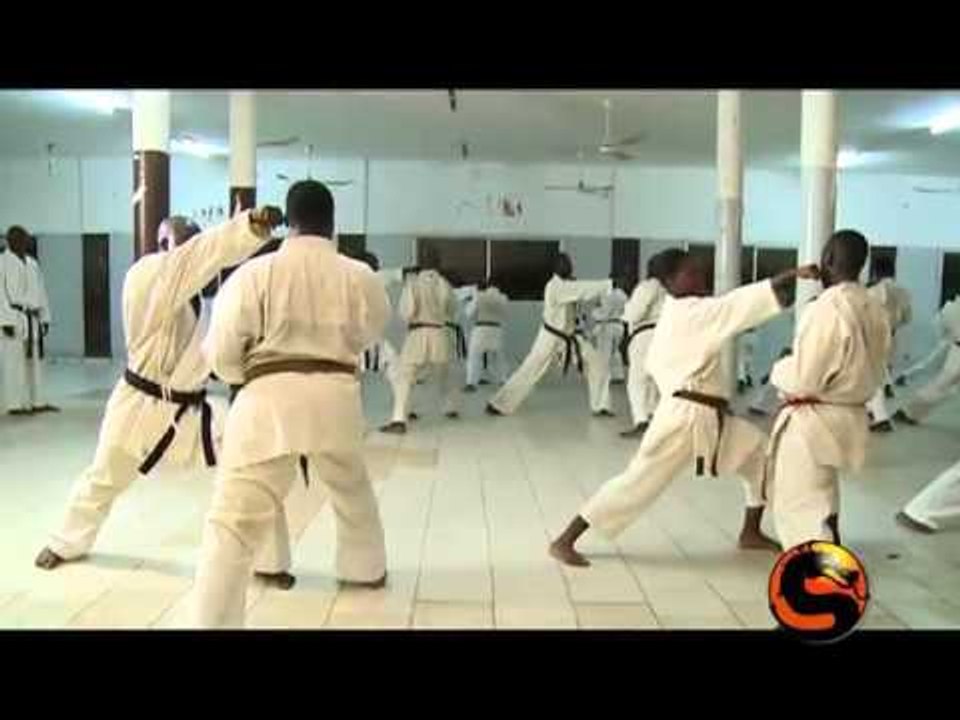 Sensei du 29 Novembre 2015