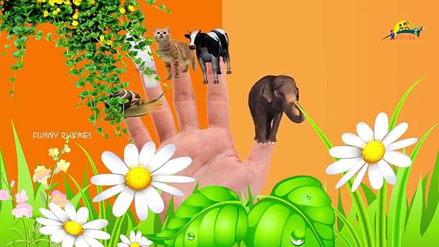 Helicóptero Dedo de la Familia Vivero inglés 3d rimas | Niños Animados dedo de la familia de la canción