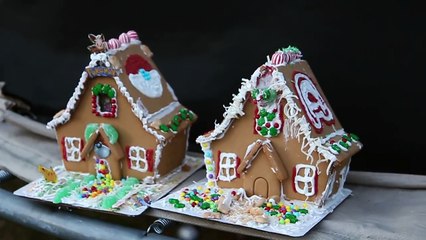 Gingerbread House Destruction by Paintball + Christmas Tree AXE-IDENT! (FUNnel Vision Fami