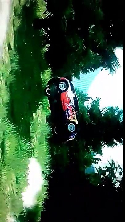rallye crash 2017
