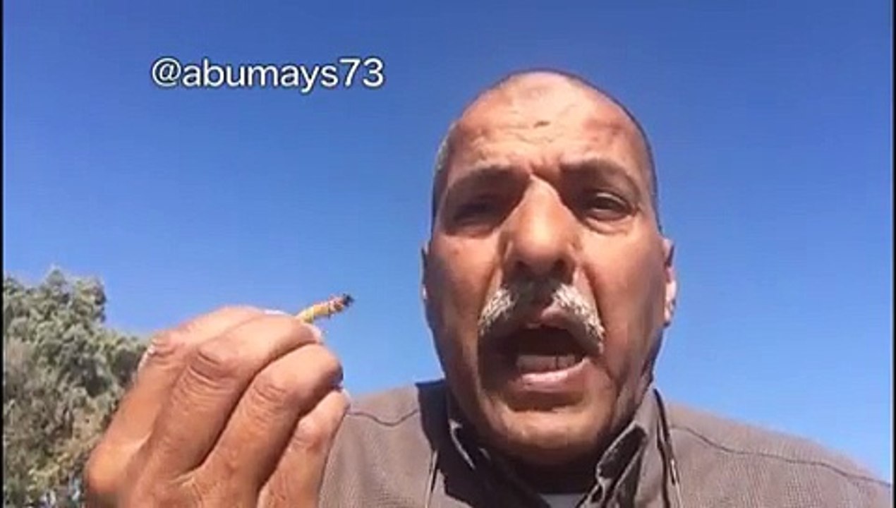 وما من دآبة الا على الله رزقها