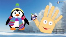 Finger Family Penguins of madagascar | Penguins of madagascar Finger Family | Finger Famil