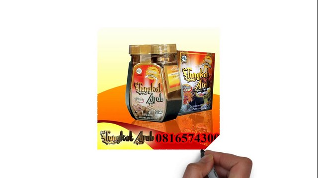 0816574300 agen tongkat arab Gayo lues