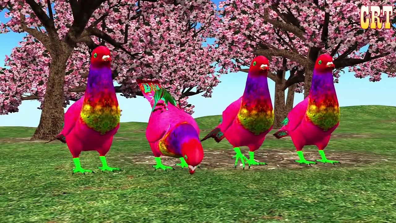 Colourful Dogs Finger Family Nursery Rhymes || Cartoons For Kids Rhymes Compilation