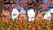 Ringa Ringa Rosas 2 Animales de Animación en 3D de inglés de canciones infantiles Para los niños