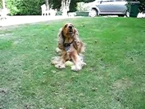 JE PRETE PAS MA BALLE ET JE FAIS CE QUE JE VEUX !!!