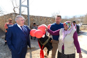 Kahramanmaraşlı Kadın, Başbakan'dan İstediği İnekleri Teslim Aldı