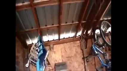 【閲覧注意】蜂の巣を火薬？で破壊した結果