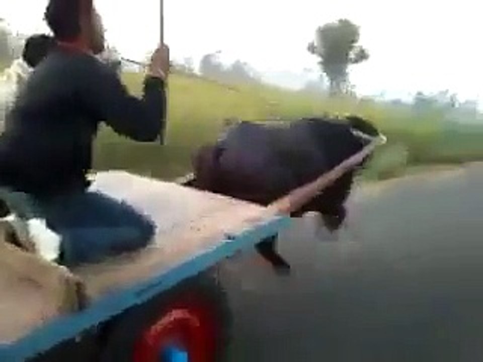 ‫استاد یہ عظیم قوم ہے ہرکام کو ممکن بناتی ہے ... -top whatsap clip‬