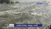 Cauvery Water Reaches Mukkombu | முக்கொம்பு ஓடி வந்த காவிரி நீர்