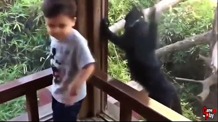 BEST EPIC FAIL - WIN COMPILATION OCTOBER 2016    BEST FUNNY VIDEOS FUNNY FAILS