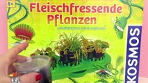 Popular Videos - Plant & Carnivorous plant
