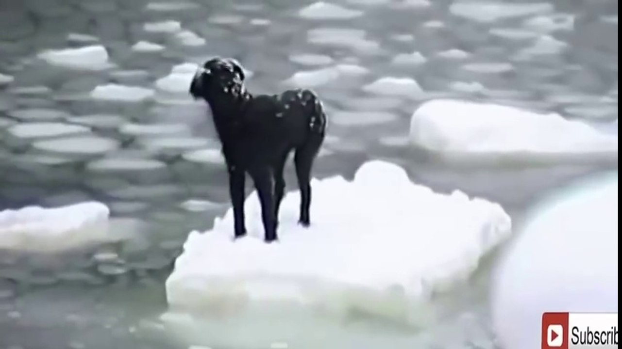 ---World most Shocking Video that made the whole world!