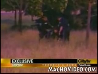 arrestation classique aux usa..