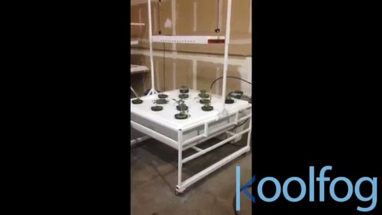 Fog and Aeroponics