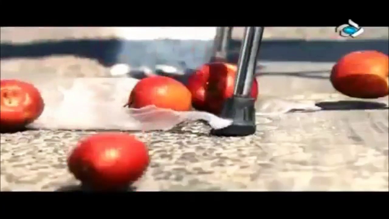 THE BEST HUMANITY