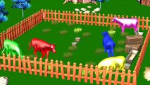 3D Color Horse Rhymes Horse Finger Family Nursery Rhymes For Children Colors Horse Song Fo